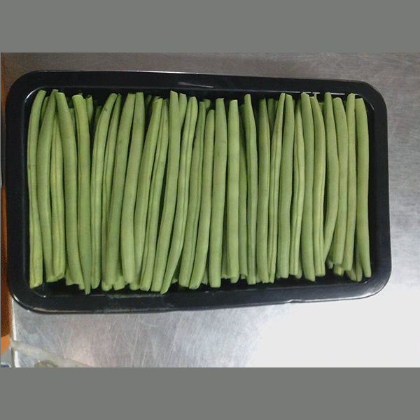 SELECTION FRUITS (SFE). Haricots vert 500gms (packed 6x500gms & 8x500gms )